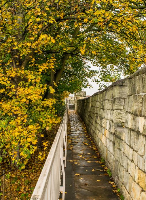 Jorvik Viking Centre