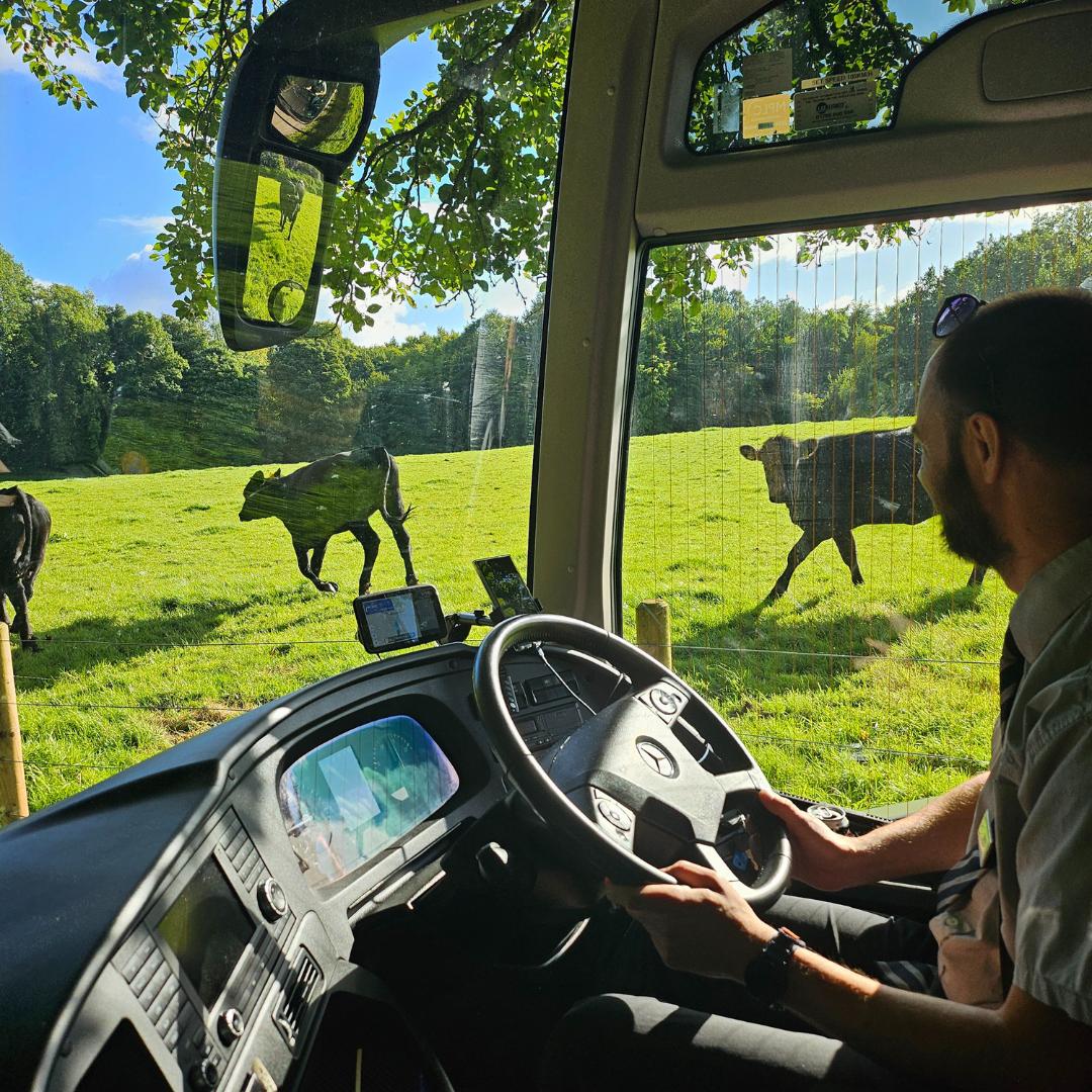 UK Countryside Coach Hire | Scenic Group Travel