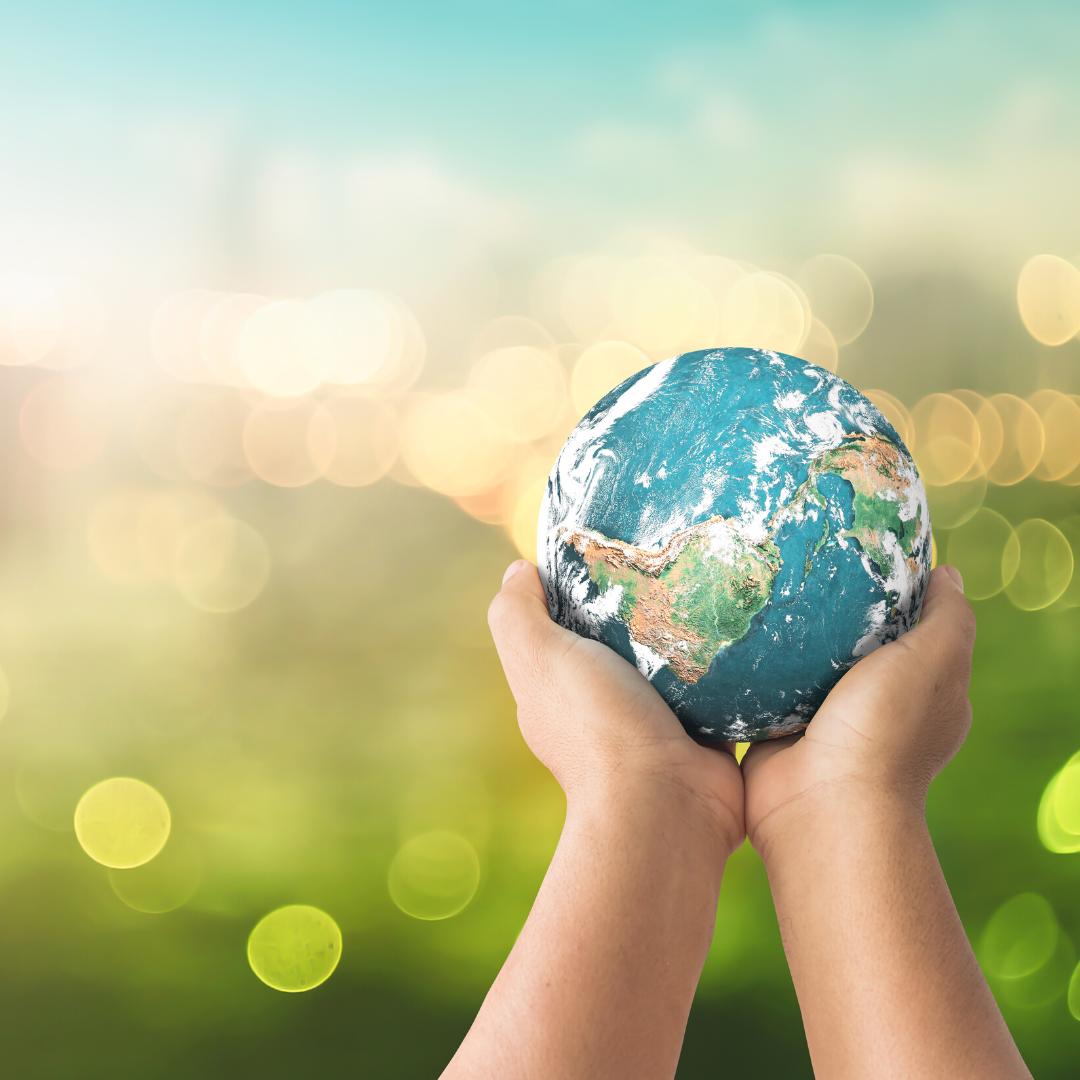Why traveling by coach is the most sustainable option